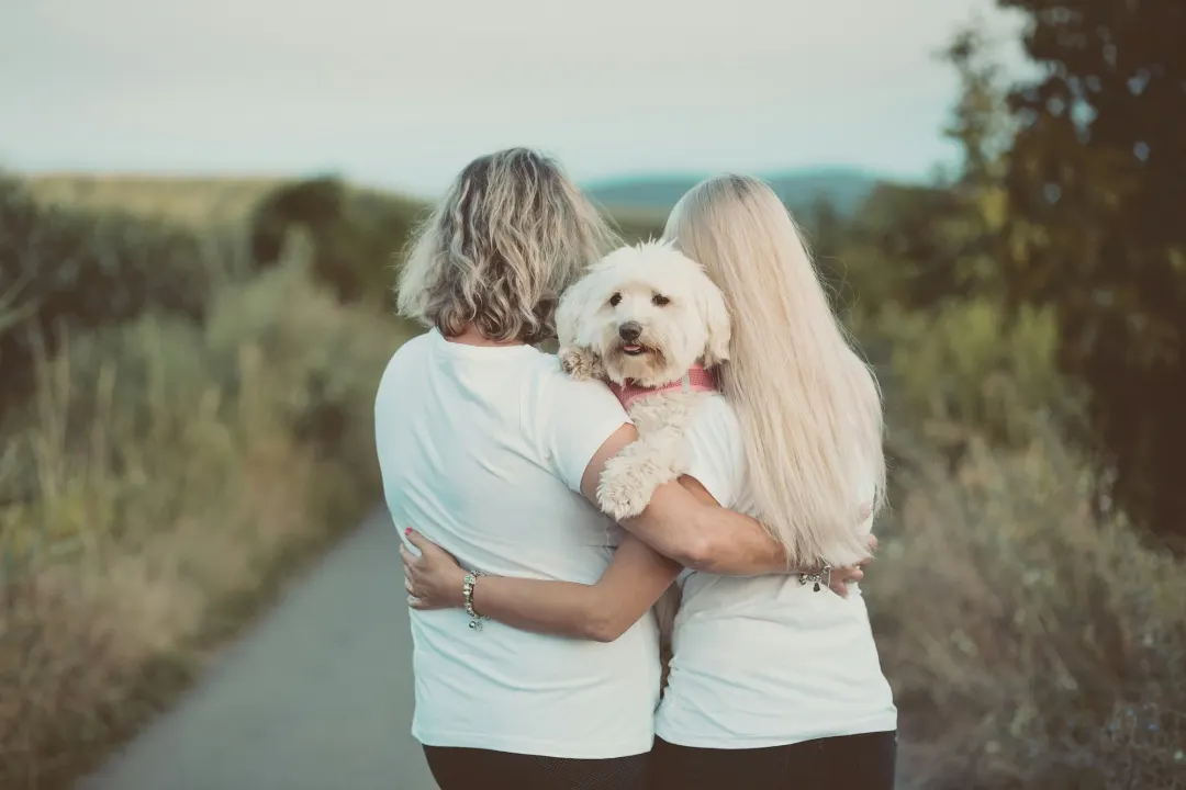Pet parent with their dog